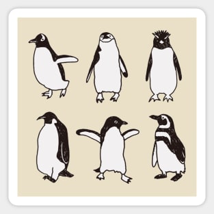 Know your penguin Sticker